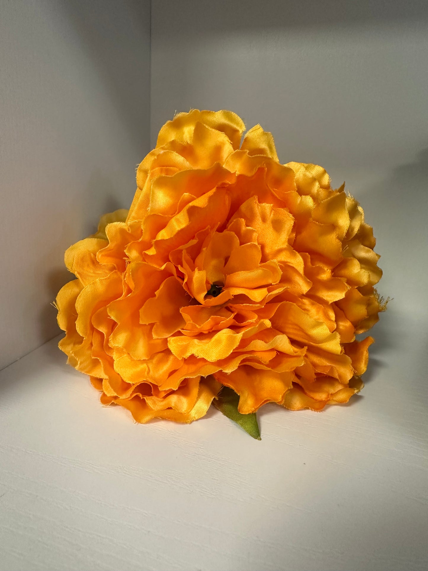 Flor Peonía
