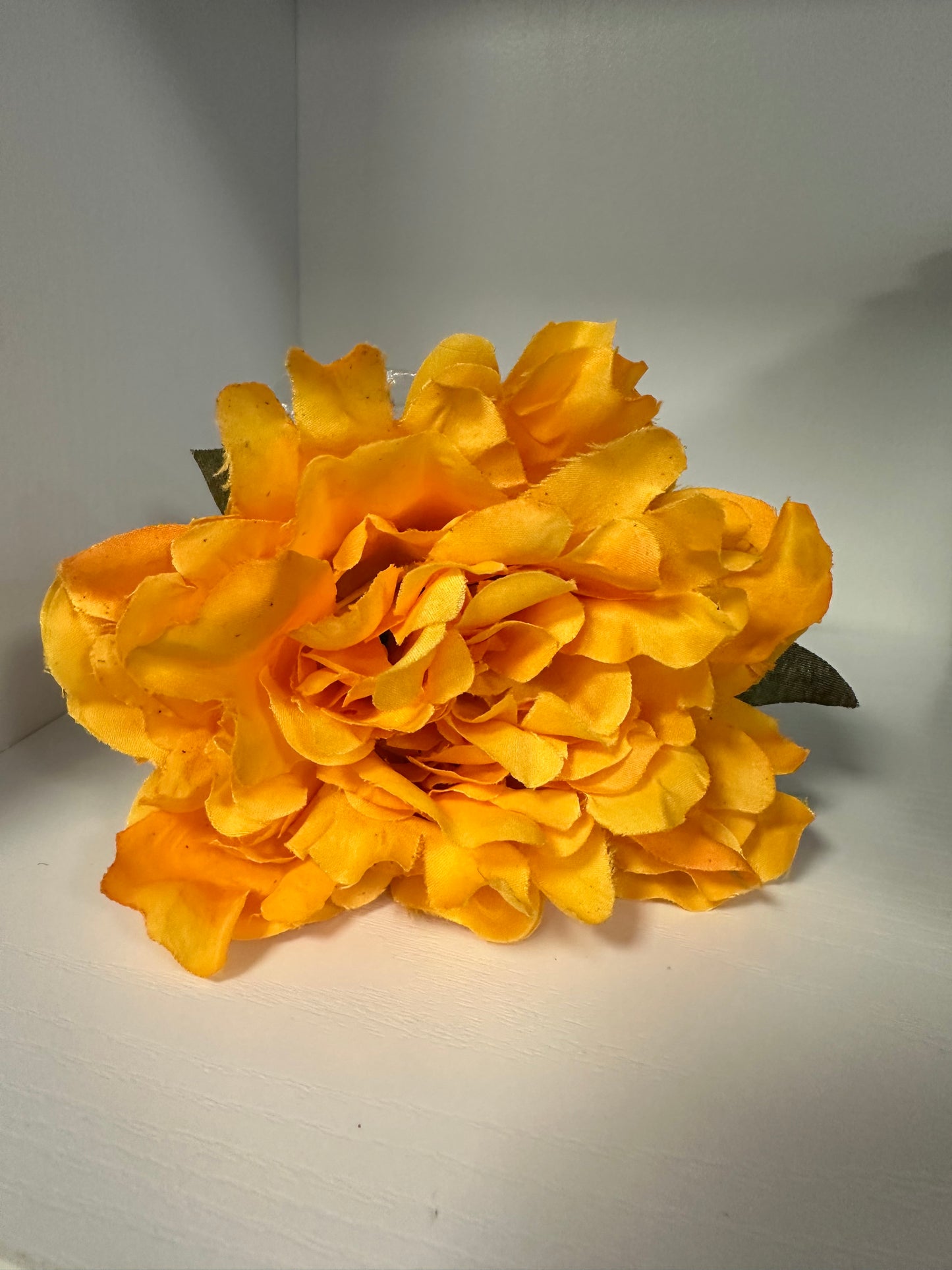 Flor Rosa