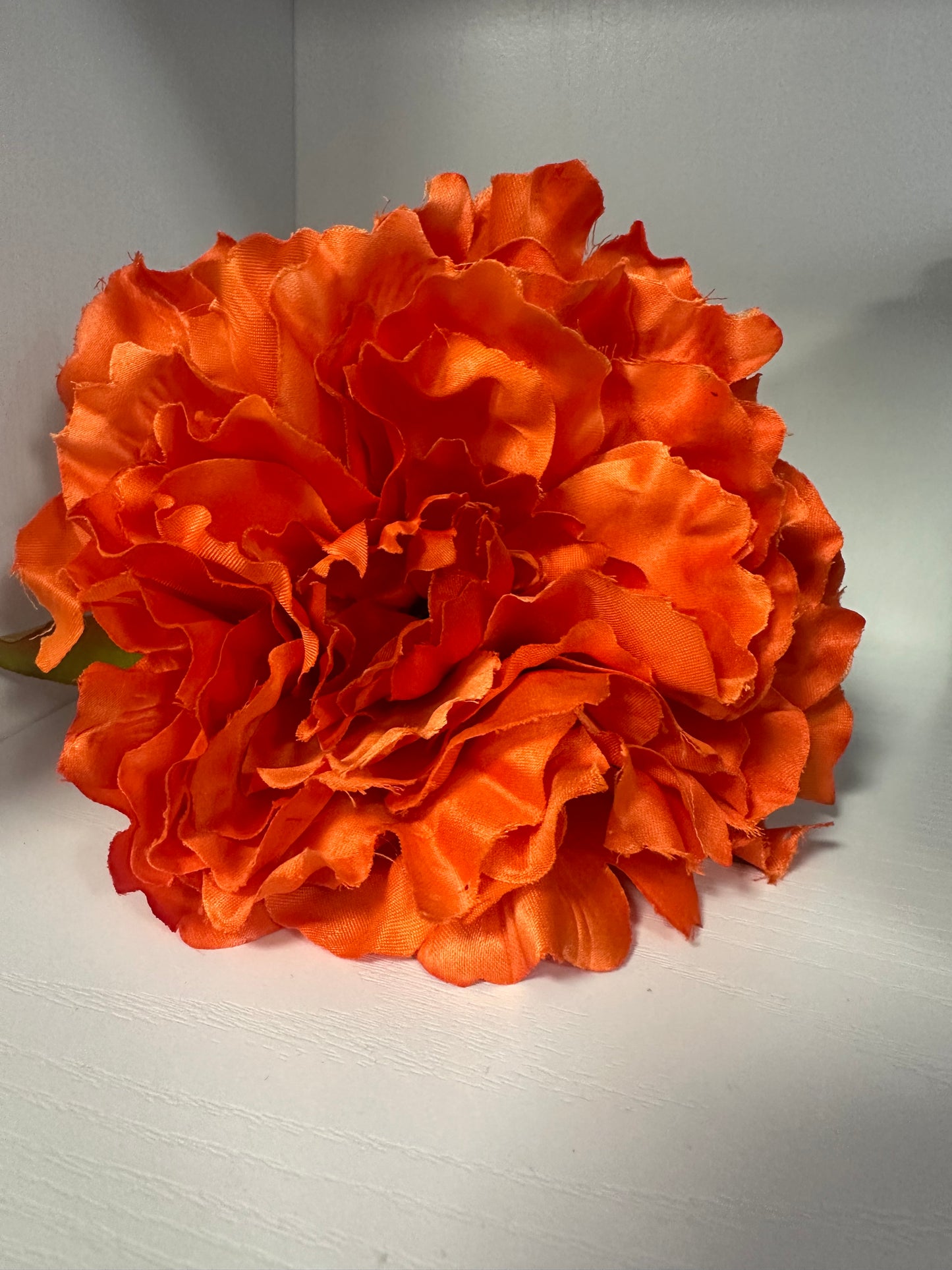 Flor Peonía